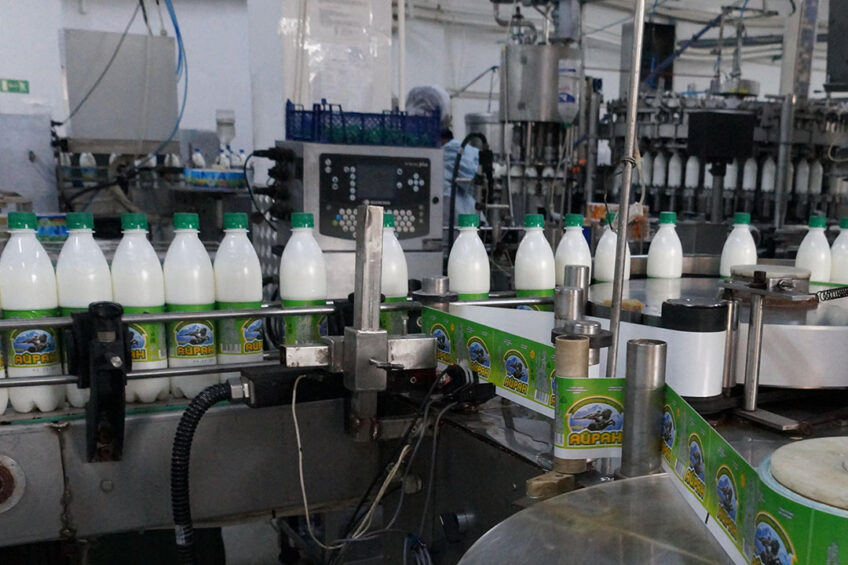 By 2023, Russia is set to launch new milk farms with a total designed production performance of 1.2 million tonnes of milk per year. Photo: Vladislav Vorotnikov