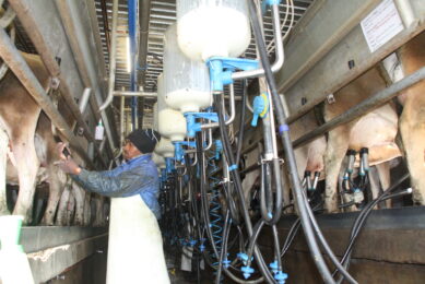Loch Lotus intensified dairy production