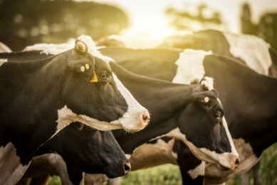 Sustainable Livestock Special: Don t miss out