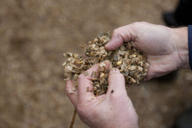 Identify and fix your mycotoxin contaminated silage