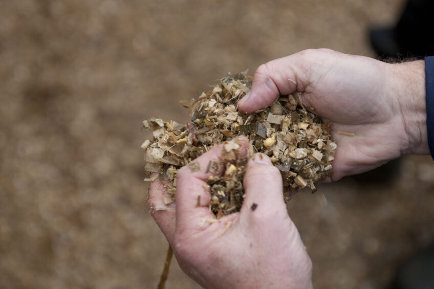 Identify and fix your mycotoxin contaminated silage