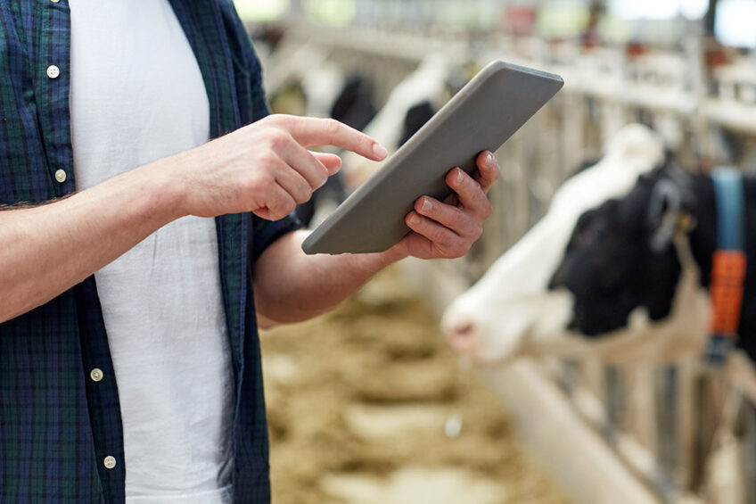 Some dairy farmers also felt that their AMS required a lot of time to manage (including much time at the computer) compared with manual milking. Photo: Shutterstock