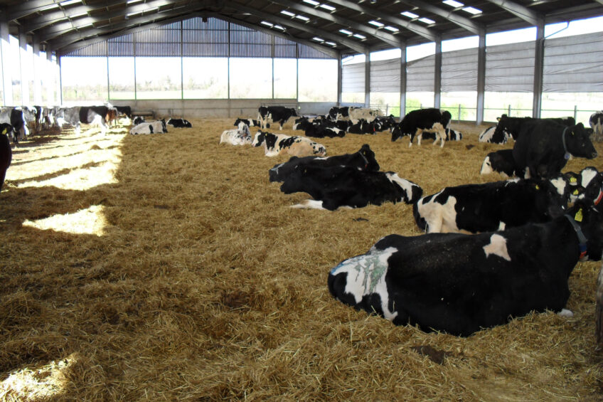 1 in 5 British dairy farmers may quit the industry