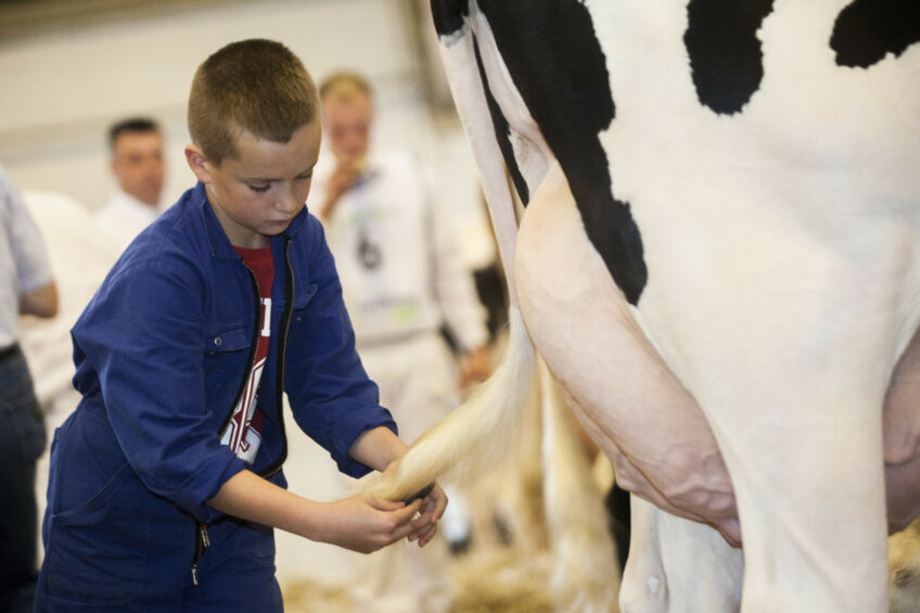 Is there genetic diversity left in Dutch HF cows? Photo: Koos Groenewold