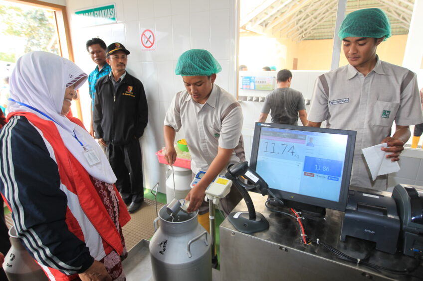 Asia and Africa profit from Dairy Development Programme