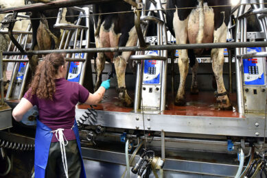 Availability of milk recording data, information on individual cow mastitis history, low herd SCC and excellent hygiene at drying-off are all key components for the adoption of SDCT. Photo: Agri-Food and Biosciences Institute