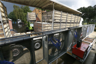 On top of heat protocols some transporters come up with additional tools to prevent heat stress. Photo: Hans Prinsen