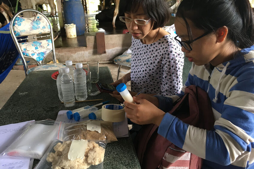 Labelling of milk samples to be tested for the presence of mycotoxin.
