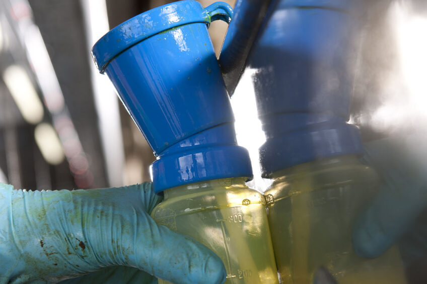 Hygiene is of utmost importance, the use of gloves and post-milking teat disinfection is recommended. Photo: Mark Pasveer