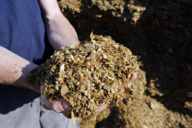 Supplying an enzyme to dairy cow feed will increase the efficiency of corn starch utilisation and energy supply to the cow resulting in less starch wasted and less fibre in the faeces. Photo: Bert Jansen