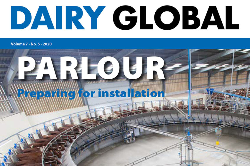 Dairy Global 5: Feed strategies and key parlour decisions