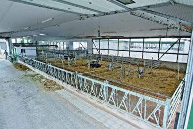 Comfortable straw pens with easy access to feed and water, right next to the parlour. There are medicines, materials, a computer and a washbasin in the white vet room. Next to it is a treatment stall. Do not put special needs cows in among pregnant cows or dry cows. Photo: Jan Hulsen I Roodbont