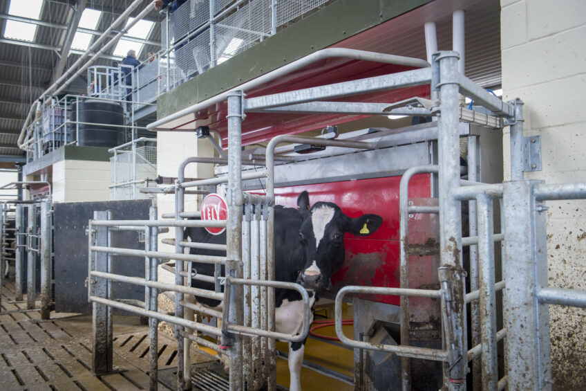 New UK dairy centre: Robotic milking at the forefront. Photo: Chris McCullough