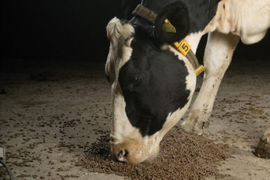 Less dairy feed produced globally. Photo: Hans Prinsen