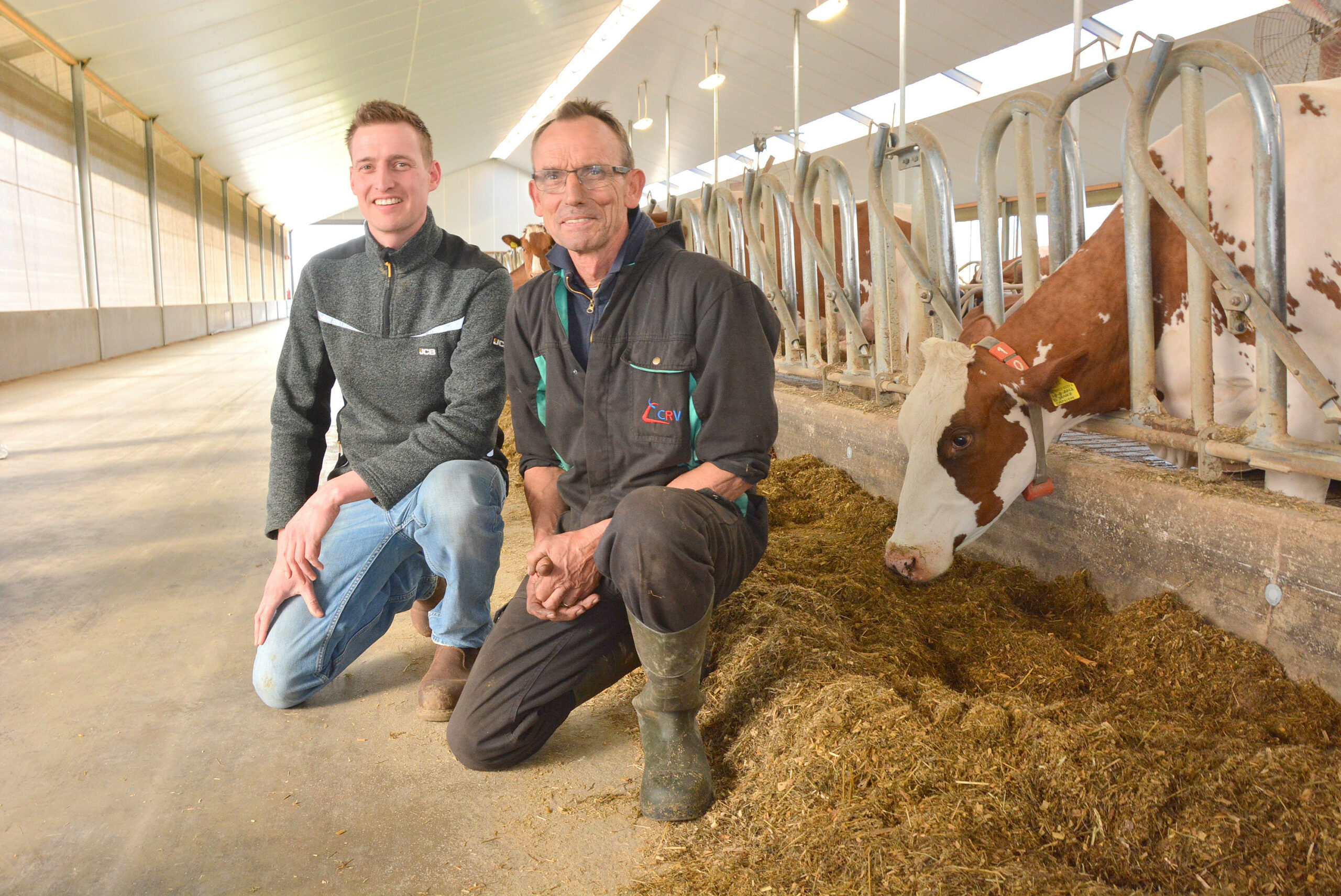 Dutch farmer (28): Focus on less antibiotics - Dairy Global