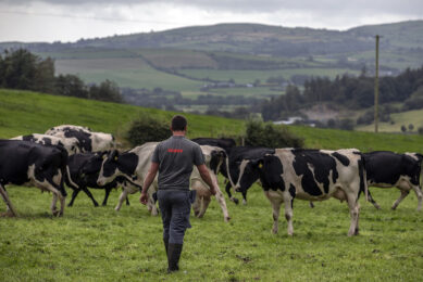 Dairy farmer Adam Shorten has quite a bit of experience managing pasture use while reducing environmental impact on his Murragh Farm in Ireland. Photo: The National Dairy Council