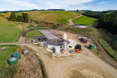 Aerial view of a 40 bale dairy shed complex on a undulating dairy farm in the South Canterbury region. Photo: Van Leeuwen Dairy Group