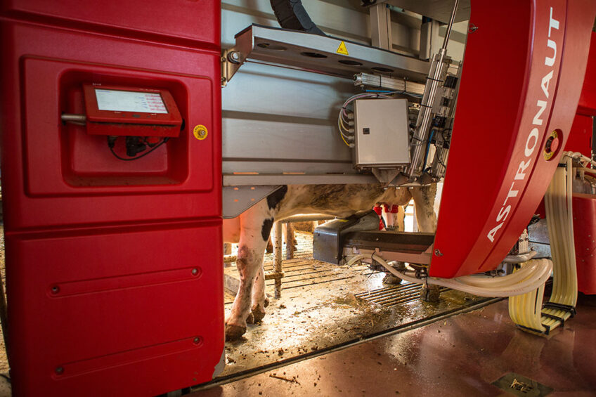 German farmer puts money in robot, not parlour. Photo: Peter Roek