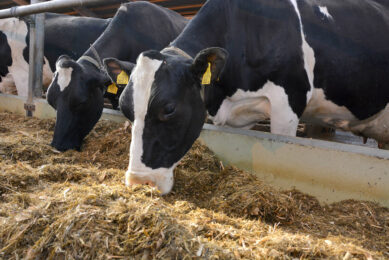 College dairy updates farmers on herd performance. Photo: Chris McCullough