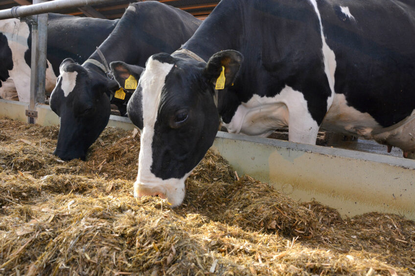 College dairy updates farmers on herd performance. Photo: Chris McCullough