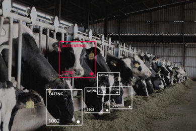 "Visual recognition transformational for livestock"