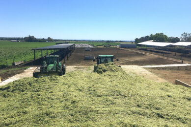 Silage is made to feed the cows through the winter months. Photo: Chris McCullough