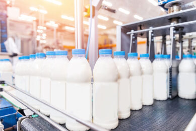 The American dairy market is seeing major export and growth opportunities, and milk production and domestic consumption are up this year. Photo: Shutterstock