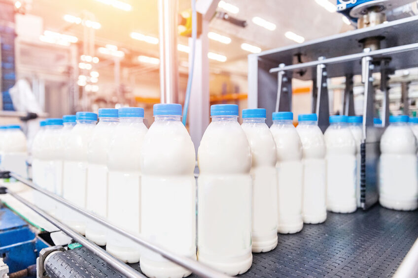 The American dairy market is seeing major export and growth opportunities, and milk production and domestic consumption are up this year. Photo: Shutterstock