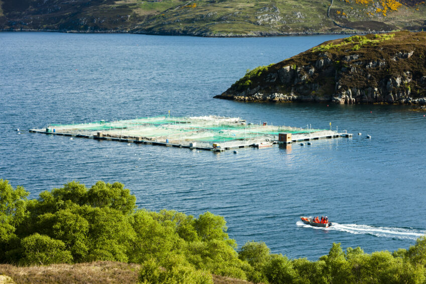 Sustainable salmon feed. Photo: Richard Semik