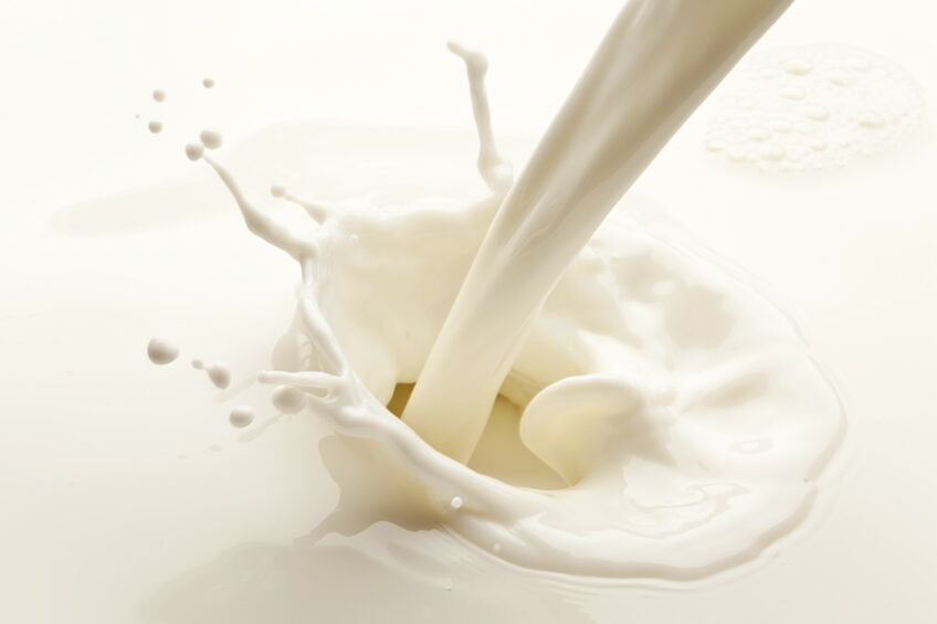Effect of nutrition on milk components. Photo: Shutterstock