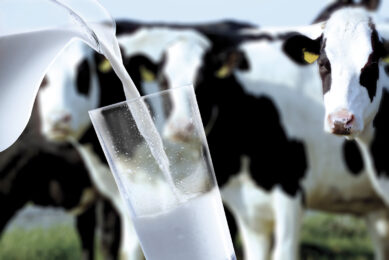 Irish dairy farmers dont stop milking. Photo: Shutterstock