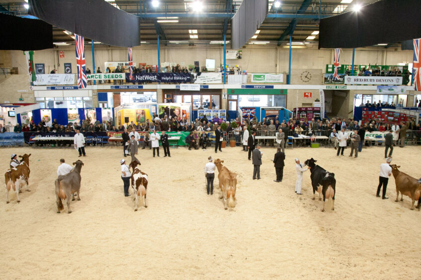 More than 300 cattle entries at UK dairy show 2017. Photo: UK Dairy Show