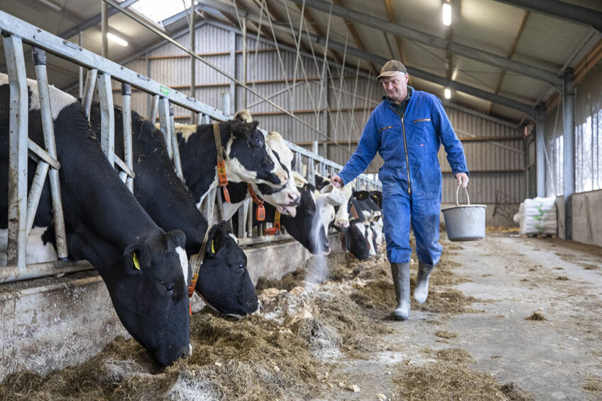 Dairy farmer Henk van der Veen from Surhuizum uses slow-release urea and Protispar by Speerstra Feed Ingredients. This is 30% cheaper than additional rapeseed. He notices a slight increase in the levels.  Photos: Anne van der Woude