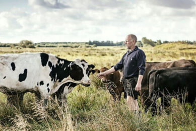 The herd's average yield is 9,100kg per cow per year. Photo: Chris Mccullough