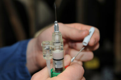 Mass vaccination seems to be the most effective measure against bluetongue. Photo: Fotopersbureau Heerenveen