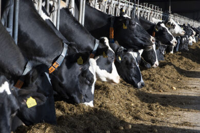 Dr Frank Mitloehner, a professor at University of California, Davis, believes one of the main reasons that smaller dairy farms are disappearing in the US is ever-tightening profit margins. Photo: Ruud Ploeg