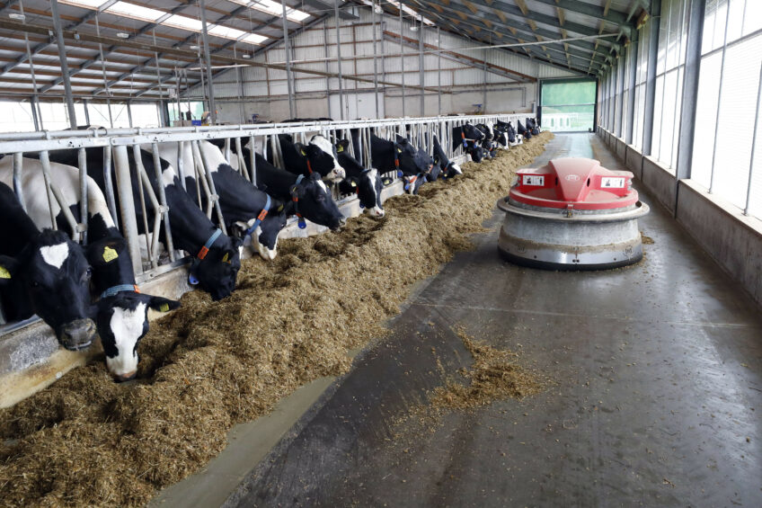 Dairy Global part of Future Farming theatre at GFIA. Photo: Bert Jansen