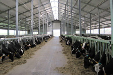 Routine dairy testing is a proven way to improve product quality and production efficiency. Photo: Daniel Schwarz
