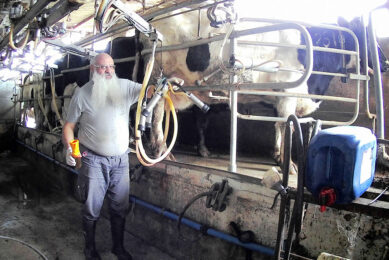 Jonathan Amir milking his cows in Israel. Photo: Chris McCullough