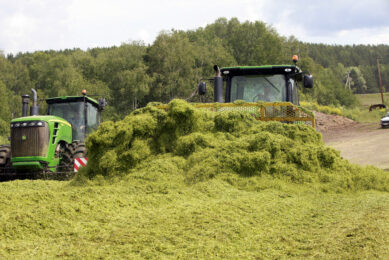Minimise the inclusion of soil and ash when harvesting alfalfa for haylage. Soil contamination of alfalfa is deleterious. Photo: Henk Riswick