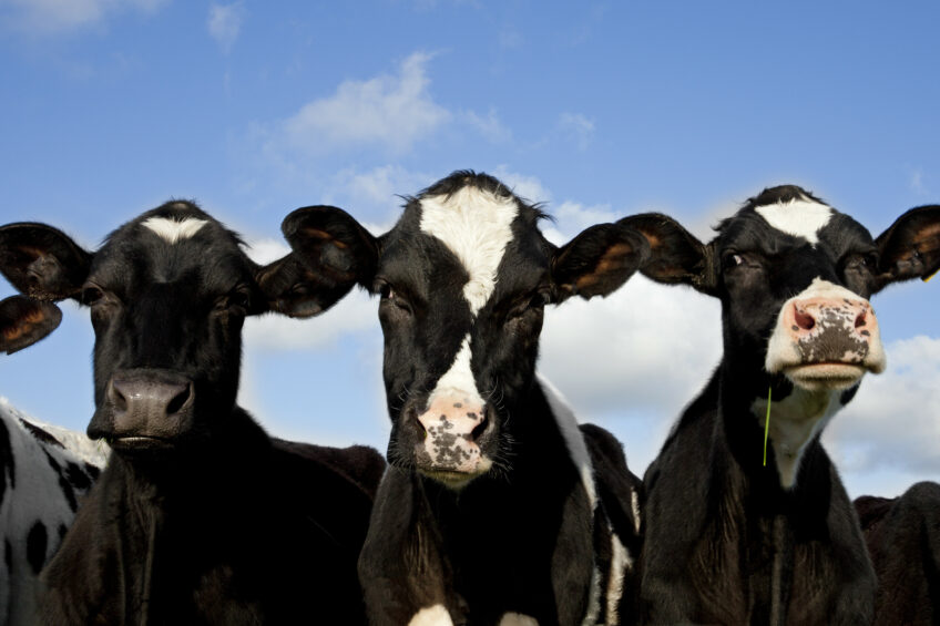 Reducing methane with 30%. Photo: Shutterstock