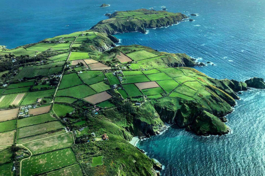 Island searching for new dairy farmer and cows. Photo: Supplied