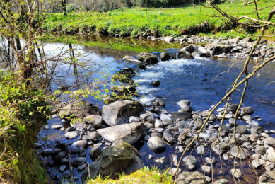 Water samples were taken in Ireland and Sweden to assess the phosphorus levels. Photo: Chris McCullough