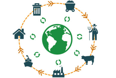 Life cycle assessment of feed ingredients. Photo: Blonk Consultants