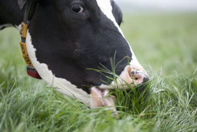 NIRS device to measure nutrient in pasture. Photo: RBI