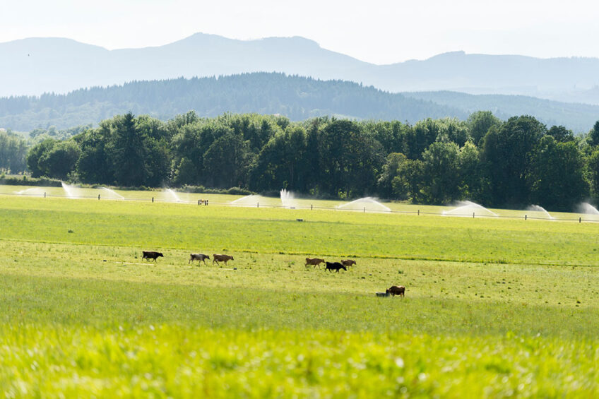 Photo: Bansen Farm