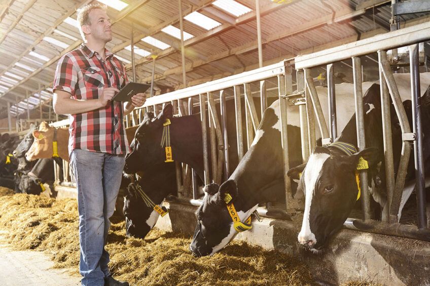 Nedap: Augmented reality simplifies farm data - Dairy Global