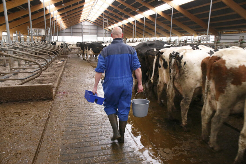 This edition will look at topics like hoof health, emissions and how covid-19 has impacted the European dairy sector. Photo: Hans Prinsen