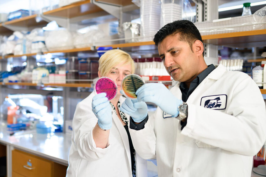 Megan Jacob, associate professor in clinical microbiology, and Sid Thakur, director of global health and professor of epidemiology, both at the College of Veterinary Medicine at NCSU. Photo: North Carolina State University