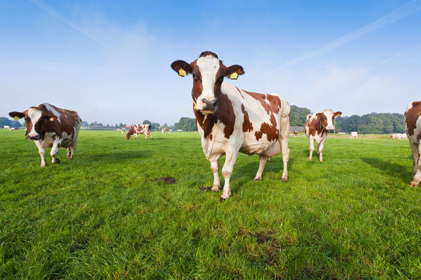 Carbon storage in soils can be measured - Dairy Global